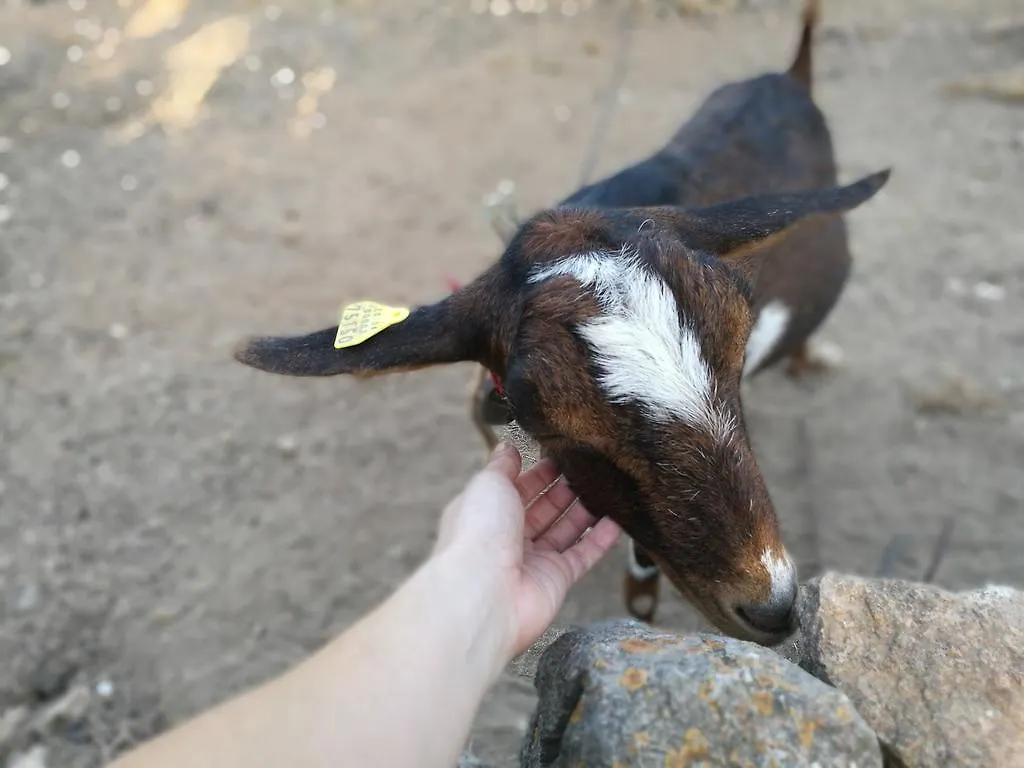 Agroturismo Rural Can Prats Sant Carles de Peralta